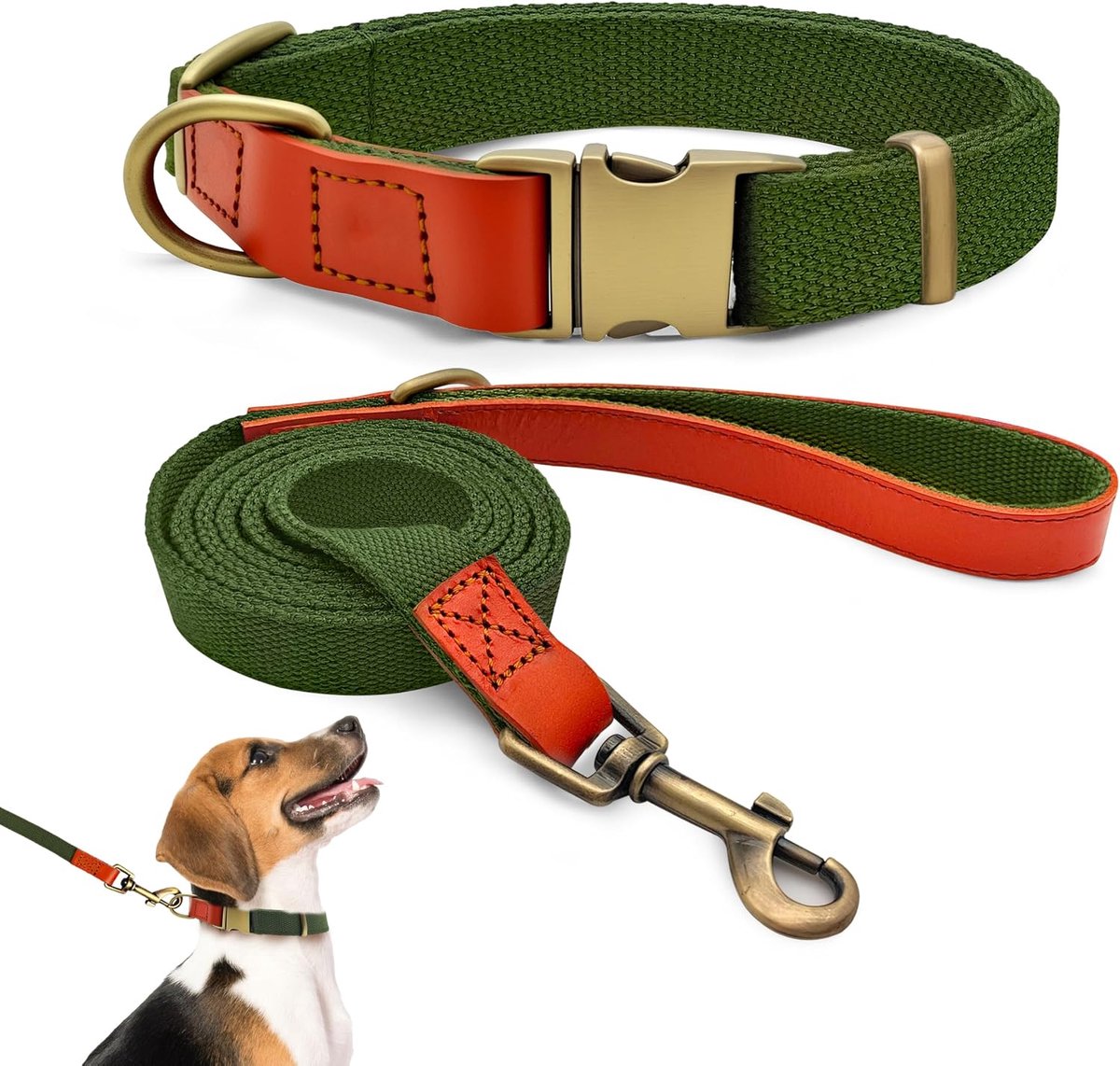Set van halsband en riem M 32–50 cm, leer met nylon (legergroen) | Riem 152 cm, vintage metalen gesp, 360° draaibaar, voor middelgrote honden, geschikt voor wandelingen en training