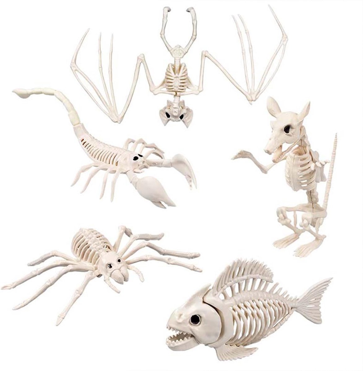 Halloween decoratie 5 dieren skelet rat vleermuis spin