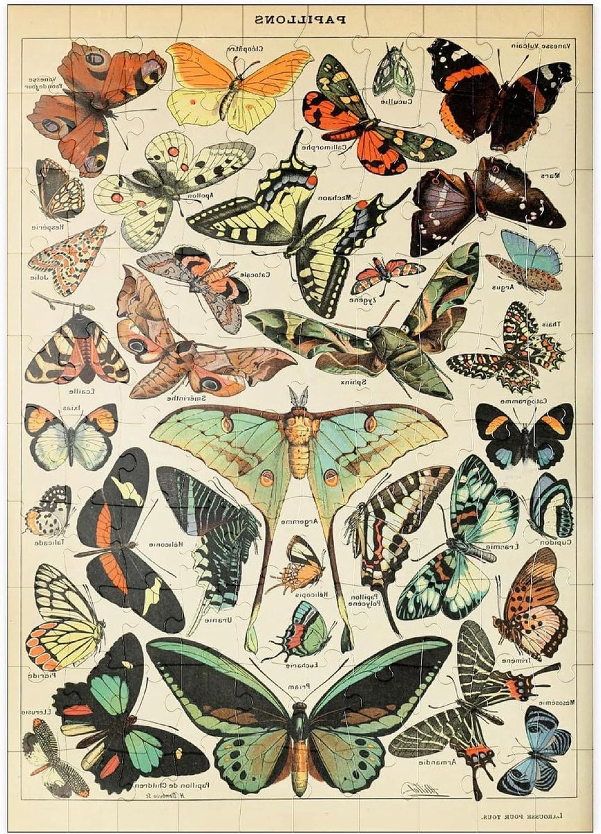 Legpuzzel Vlinders - Puzzel 100 stukjes - Ontspanning thuis - Hoge resolutie print - 48 x 34 cm - Multicolor