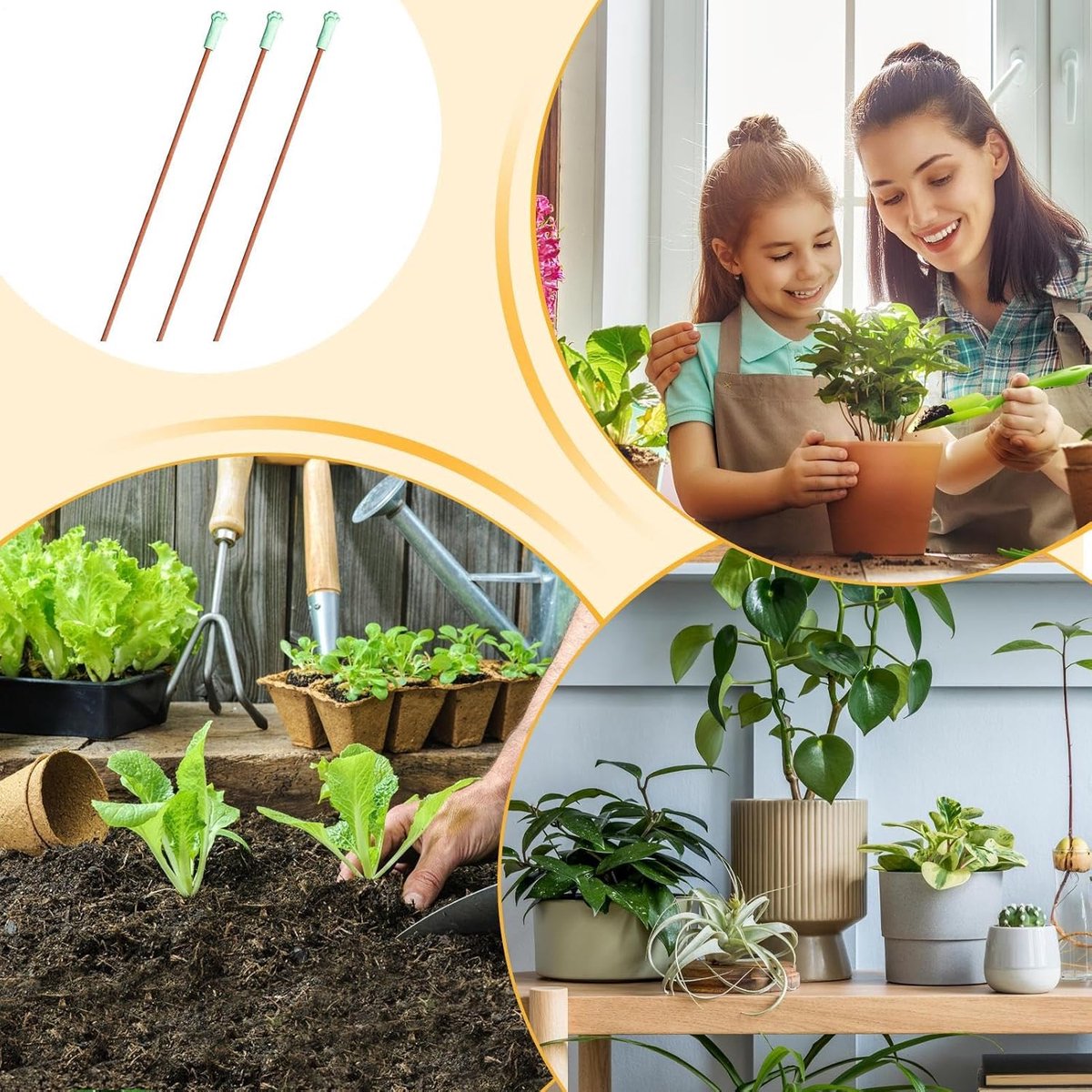 Bodem Test Kit - Vochtmeter Planten - Planten Verzorgen - Erosiebestendige Sensor - 3 stuks - Niet gespecificeerd