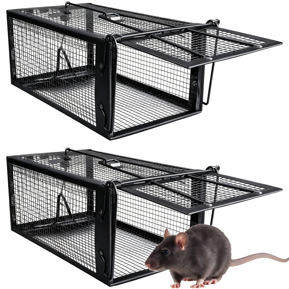 Dailygoods - Live Trap Muizenval Set van 2 - Huisdiervriendelijk en effectief