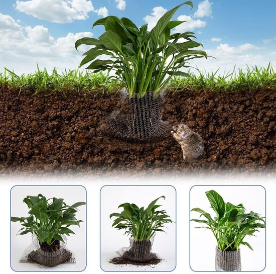 Tuingereedschap - Roestvrijstalen Wortelbescherming Manden - 25x23 cm - Draadmand voor Gophers en Woelmuizen - Voor Plantenwortels, Bomen, Bloemen, Groenten - 6 stuks van Tuingereedschap. — afbeelding 3