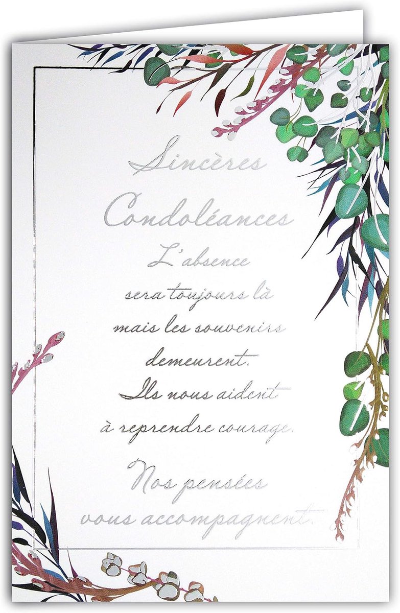 69 – 3064 wenskaart "Courage" (in het Engels), met zilverkleurige tekst, glanzend; levering met witte omslag; formaat gesloten kaart 11,5 x 17 cm; gemaakt in Frankrijk.