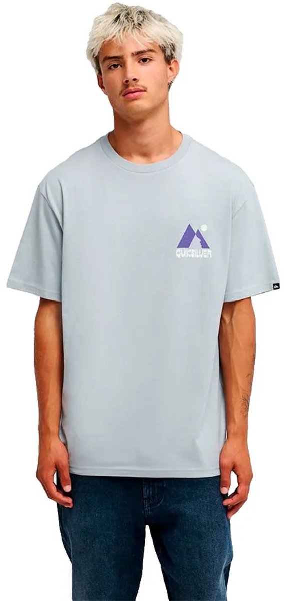 Quiksilver Peak T-shirt Met Korte Mouwen Grijs L Man