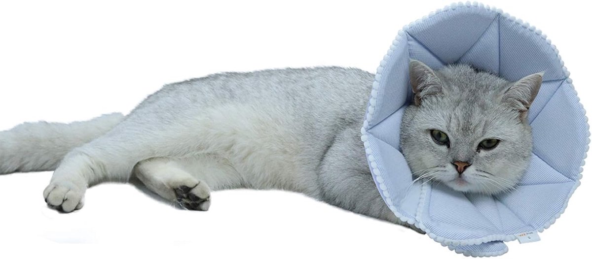 Herstelkraag voor katten, verstelbare honden-kattenkegel, beschermende kegelhalsband voor honden na operatie, voor katten en puppy's, klein, blauw