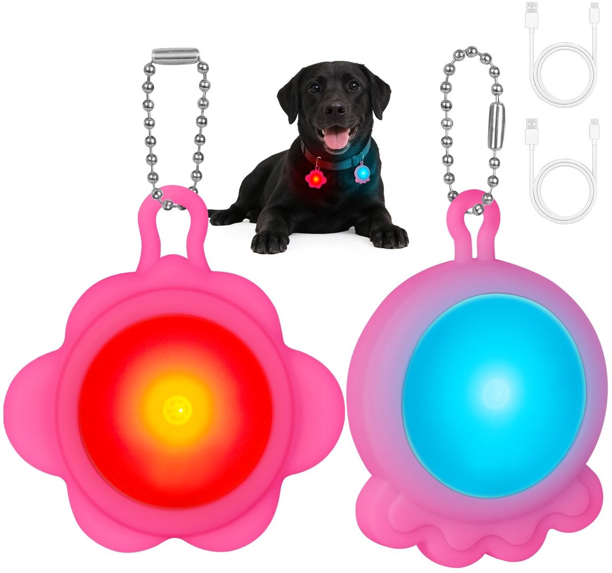 SolidKeus - LED Veiligheidslamp voor Honden met 4 Verlichtingsmodi