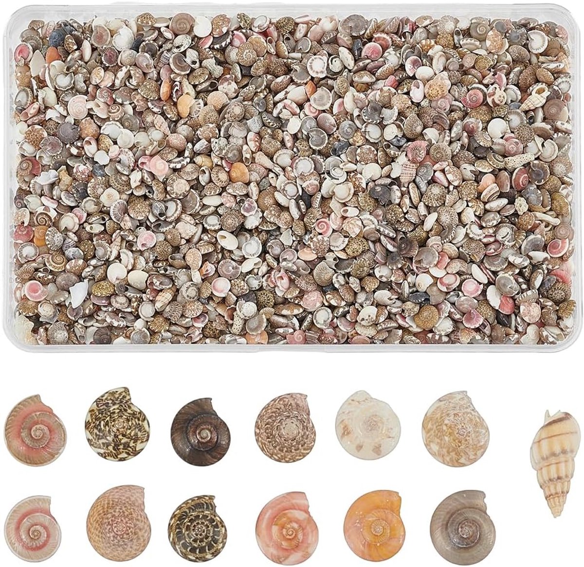 1 doos met 200 g mini-schelpen voor knutselen, spiraalschelpen, 3-7 mm, klein en gesorteerd, zonder gat, ideaal voor de decoratie van huisfeesten, aquaria, aquaria, vazen