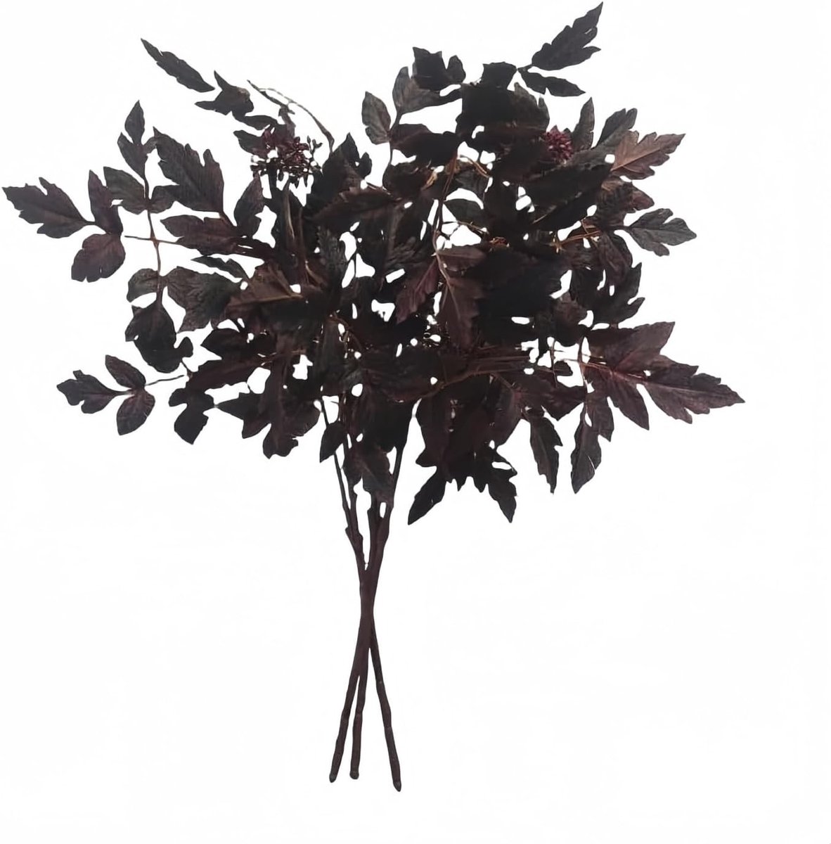 Set van 3 Nep Cimicifuga Plant Bladeren, Kunstmatige Herfsttakken voor Vaas, Decoratie voor Thuis en Keuken met Paars Kleurenthema