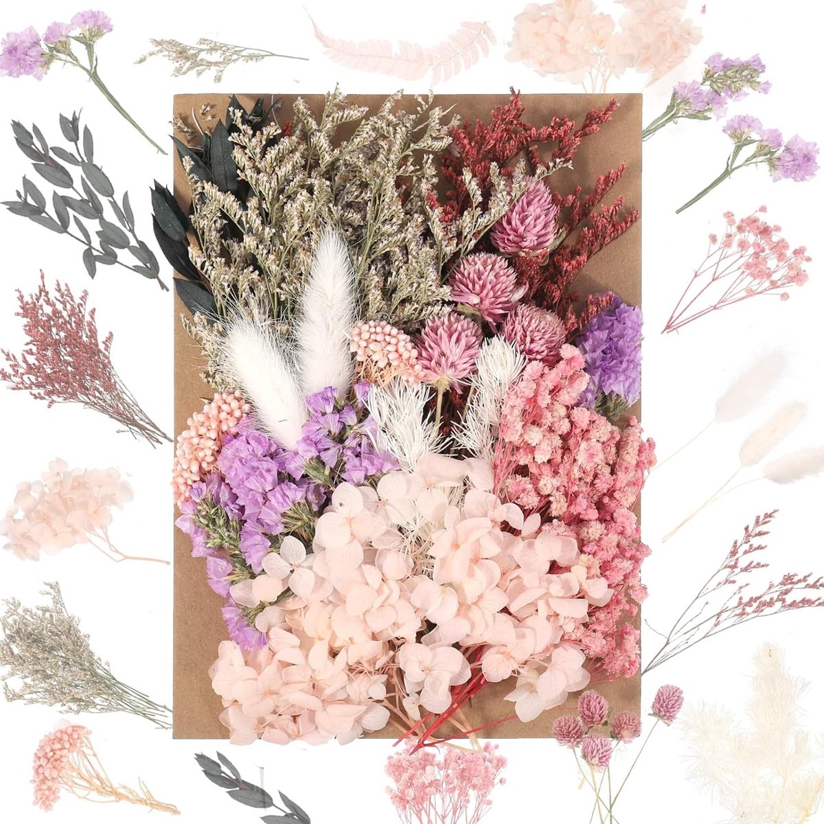 SolidKeus - Set van Natuurlijke Drogen Bloemen voor Creatieve Projecten