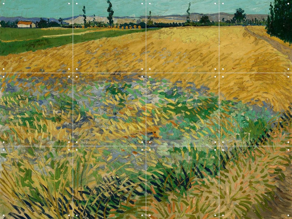 IXXI Korenveld (1888), Vincent van Gogh (1853 - 1890) & Van Gogh Museum - 80 x 60 cm - Gratis ophangtool - Grote wanddecoratie en posters -