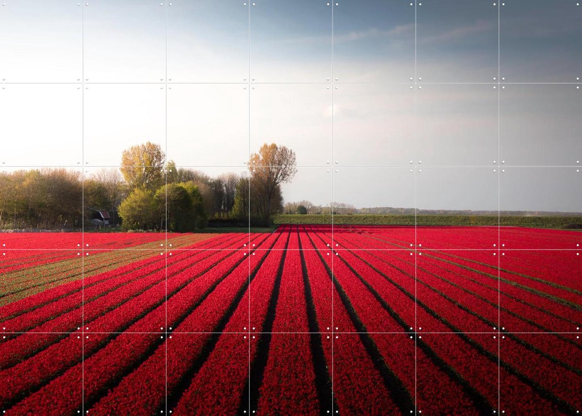 IXXI Red Fields of Spring, Claire Droppert - 140 x 100 cm - Gratis ophangtool - Grote wanddecoratie en posters - Fotografie, Eetkamer, Trap, Gang