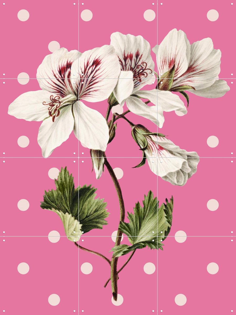 IXXI Nature on Pink, Marja van den Hurk - 60 x 80 cm - Gratis ophangtool - Grote wanddecoratie en posters - Gemengde Technieken, Vintage, Retro