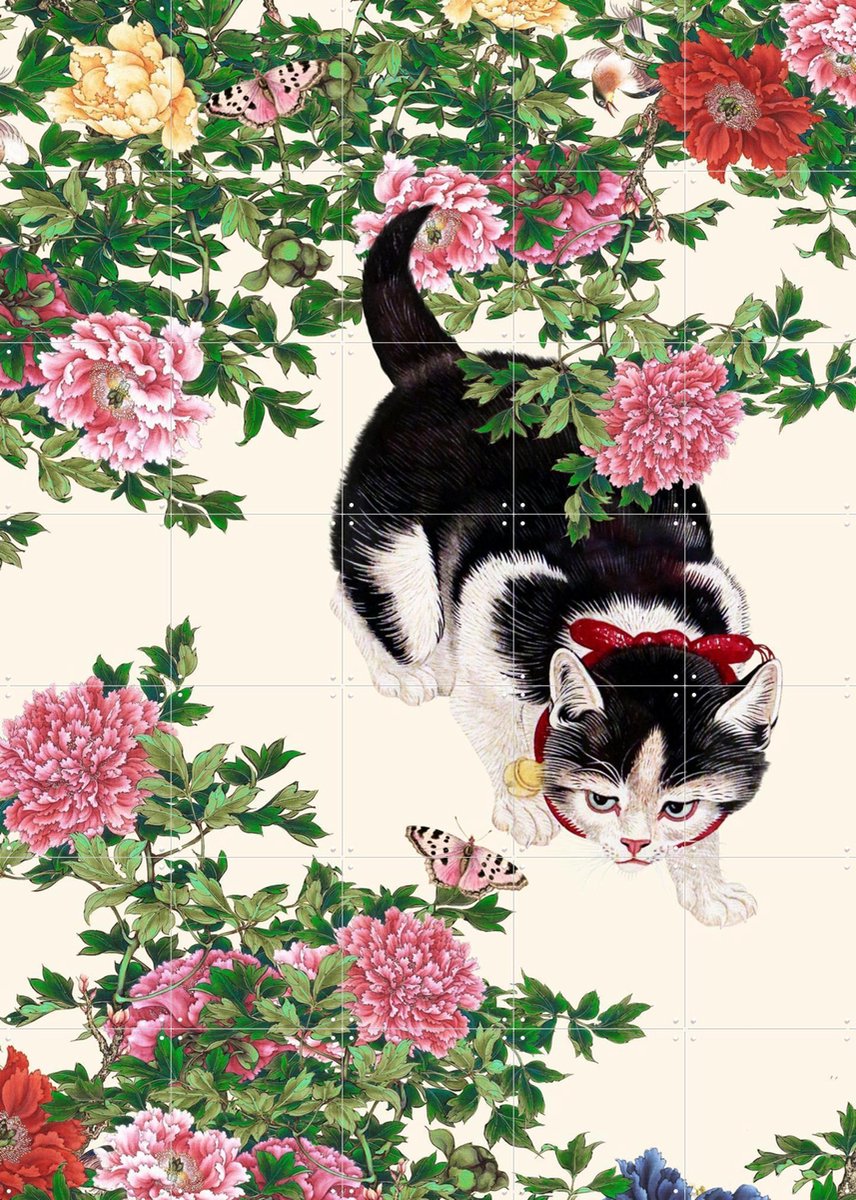 IXXI Butterflies, Be Aware, Marja van den Hurk - 100 x 140 cm - Gratis ophangtool - Grote wanddecoratie en posters - Vintage, Illustraties, Gang, Kat