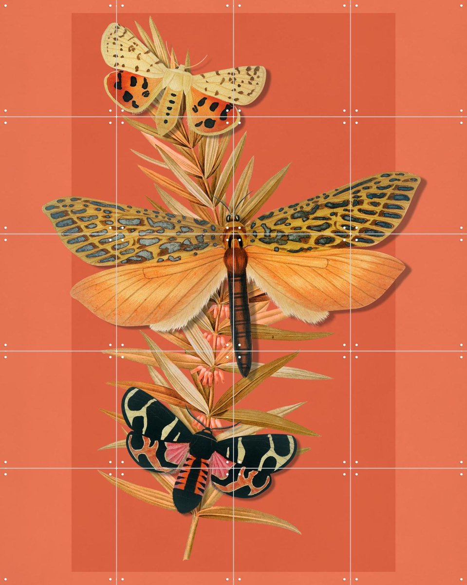 IXXI Summer Into Autumn, Marja van den Hurk - 80 x 100 cm - Gratis ophangtool - Grote wanddecoratie en posters - Fantasierijk, Vintage, Naturalisme