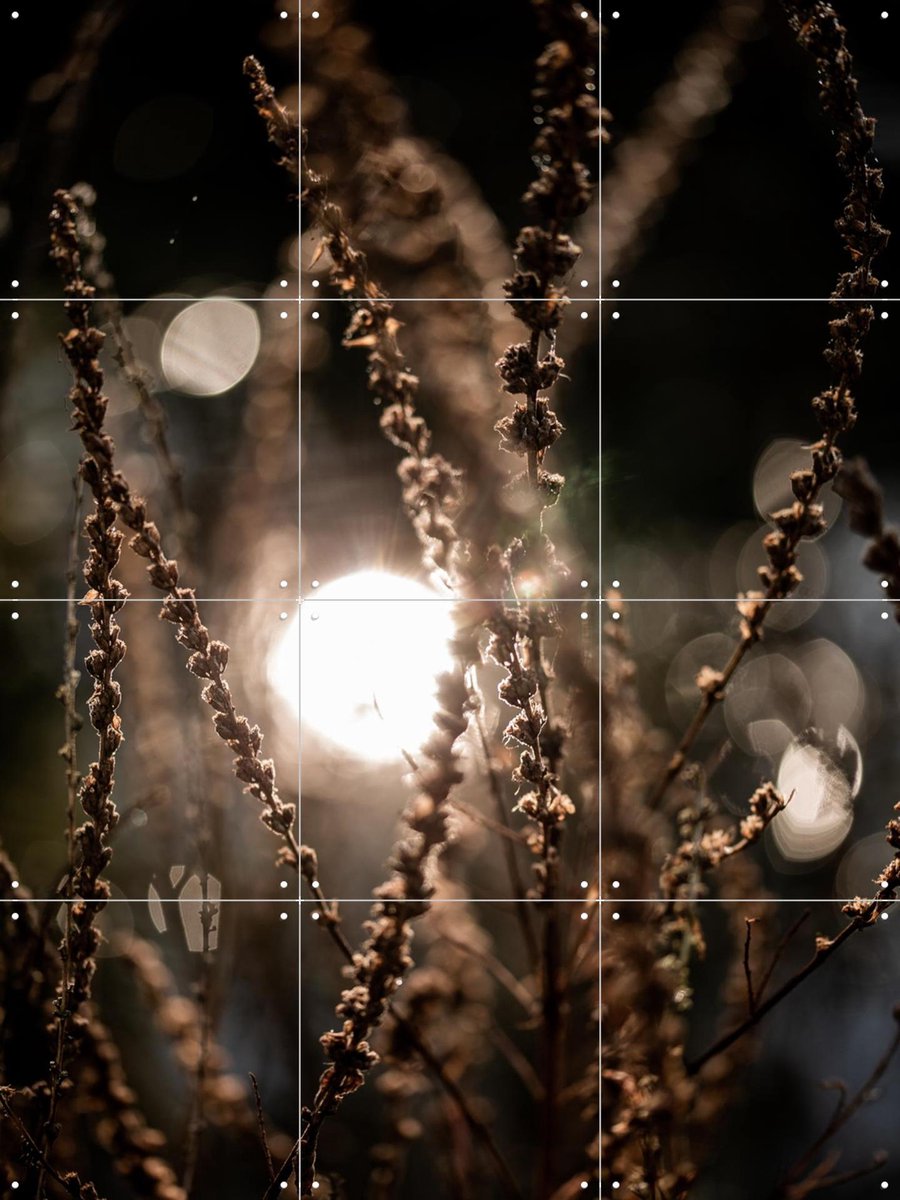 IXXI Natural Sparkle, Mareike Böhmer - 60 x 80 cm - Gratis ophangtool - Grote wanddecoratie en posters - Fotografie, Realisme, Woonkamer, Gang, Trap