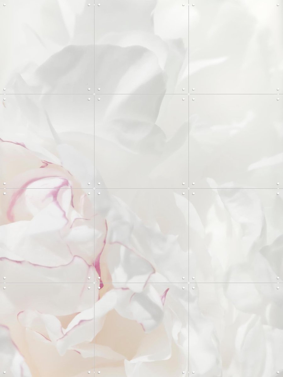 IXXI Peony 21, 1x Studio II & Various - 60 x 80 cm - Gratis ophangtool - Grote wanddecoratie en posters - Modern, Minimalisme, Realisme, Abstract