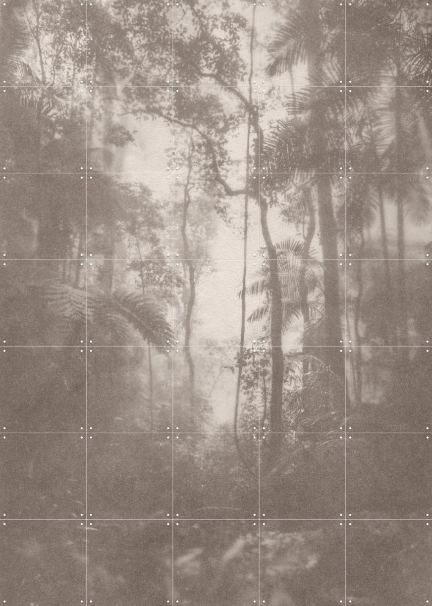 IXXI Jungle Brouillard, Florent Bodart - 100 x 140 cm - Gratis ophangtool - Grote wanddecoratie en posters - Vintage, Mancave, Woonkamer