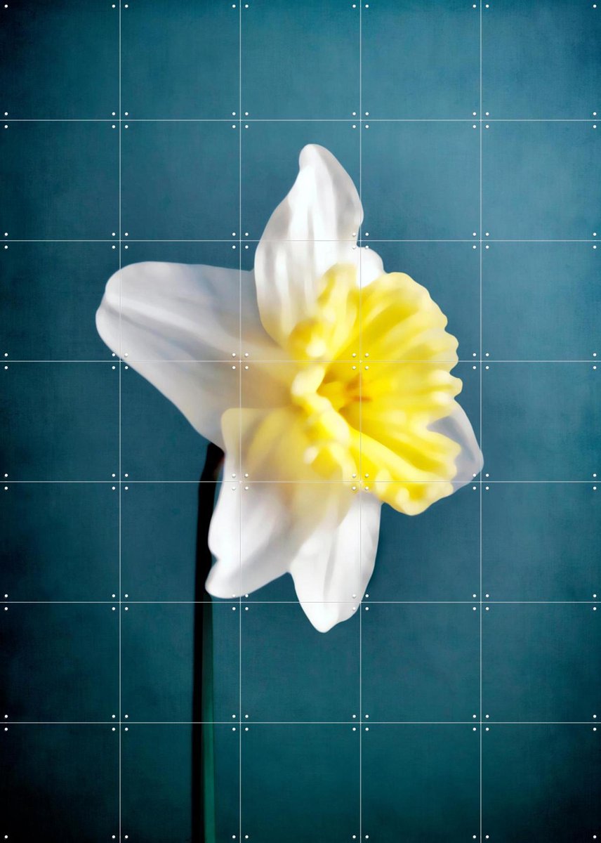 IXXI Narciso, Angelo Cerantola - 100 x 140 cm - Gratis ophangtool - Grote wanddecoratie en posters - Fotografie, Gang, Woonkamer, Slaapkamer, Bloemen