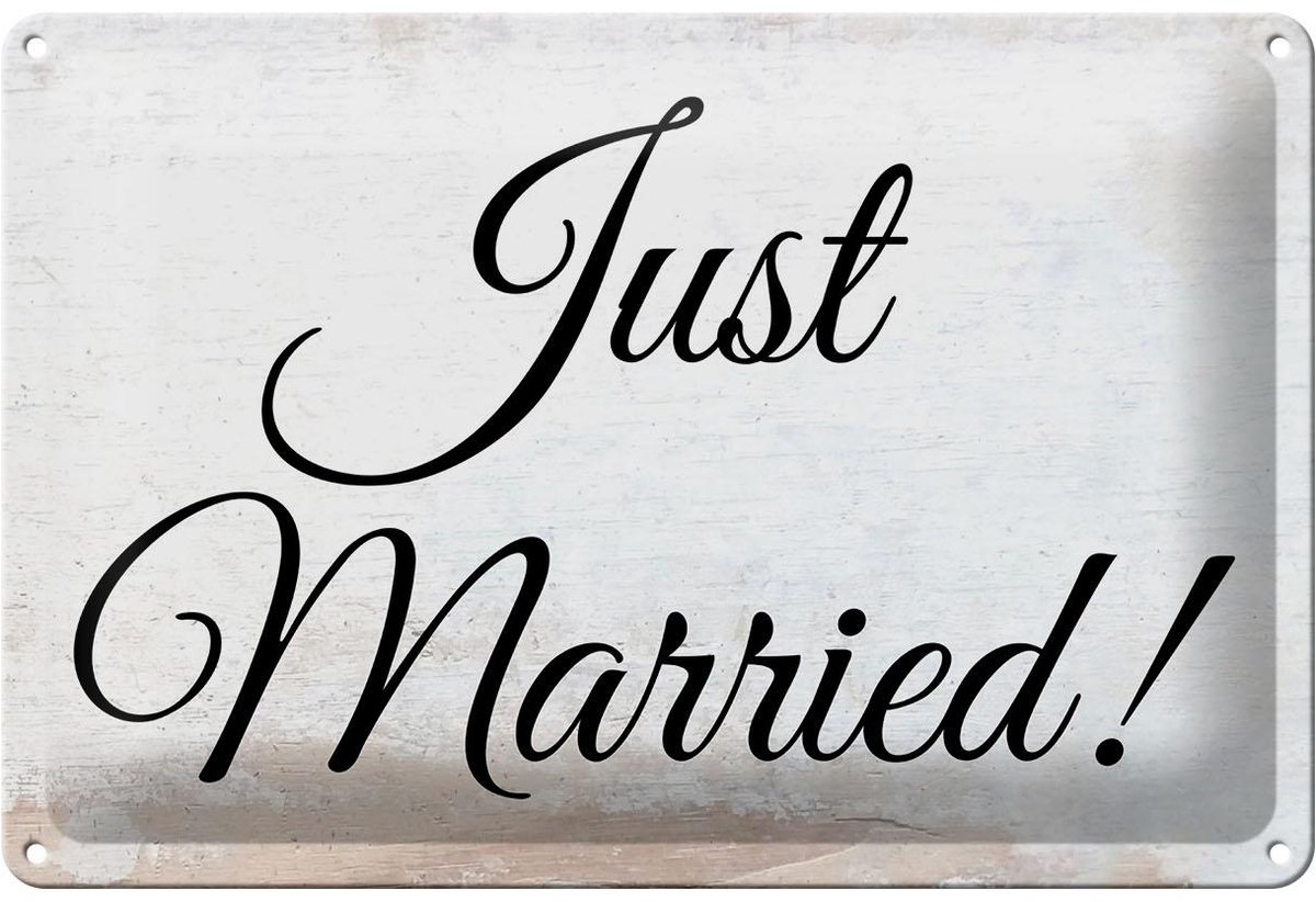 Blechschild Hinweis 20x30 cm Just Married Deko Schild