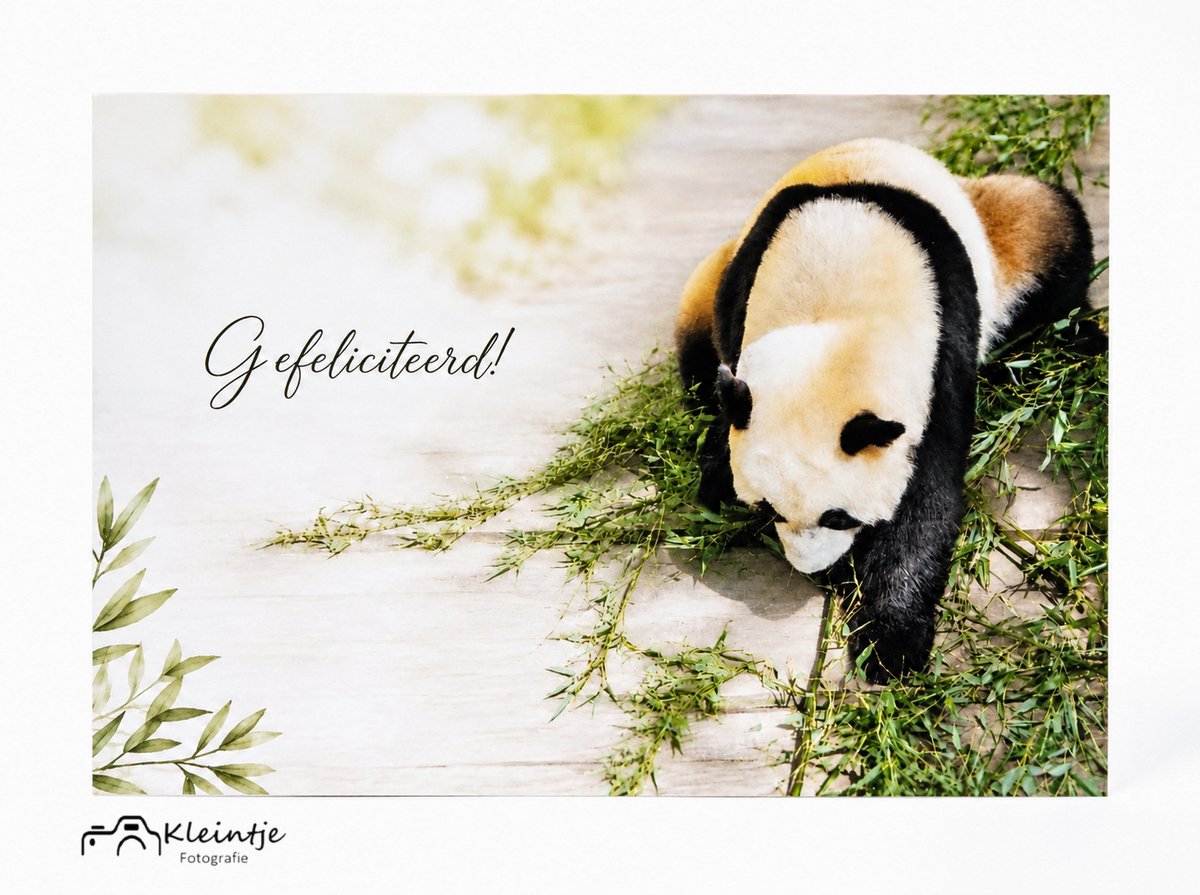 panda wenskaart – zomaar | Kleintje Fotografie l blanco| Verjaardag