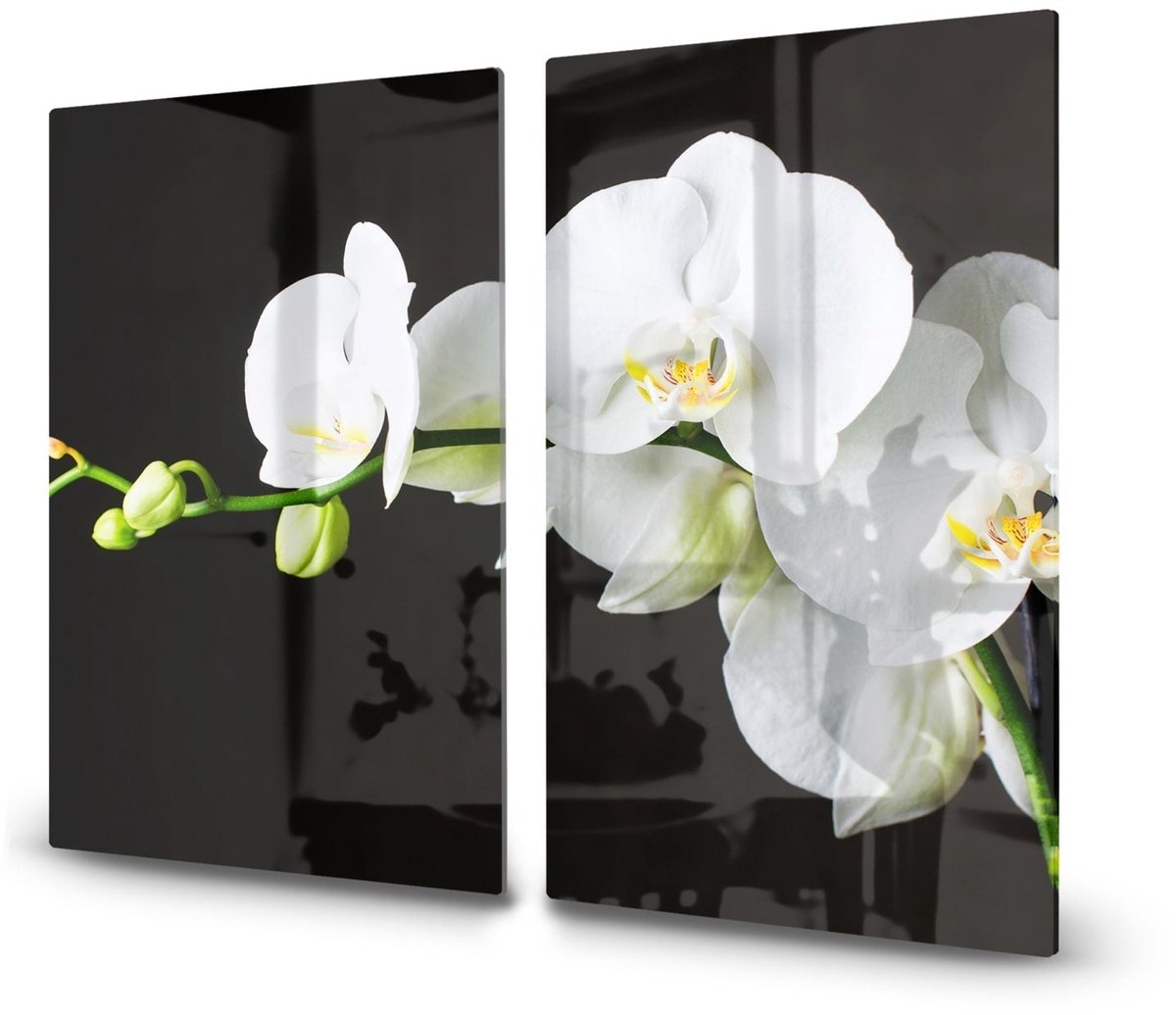 Mydesignglas Glazen Inductie Beschermer - Krasvrij Gehard Glas met Antislip - Afdekplaat voor Kookplaat - Spatscherm Achterwand Keuken - 2x30x52 cm - Witte Orchideen