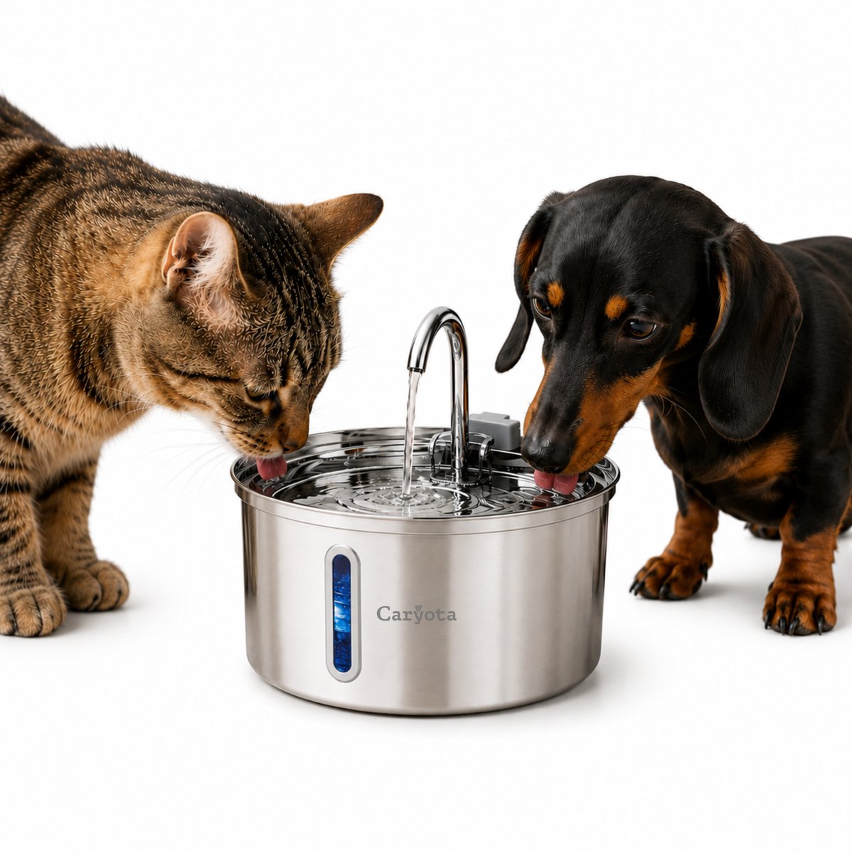 Caryota Drinkfontein Kat - Waterfontein met Venster - Waterdispender - Drinkbak Honden - Extra Stil < 20 dB - Kattenfontein 3.2 liter - BPA-vrij