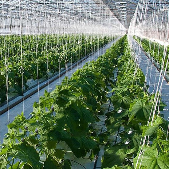 Plantroller Haken - Tomaat Steun - Verticale Teelt - Met 15m Touw - 10 Stuks - Niet gespecificeerd