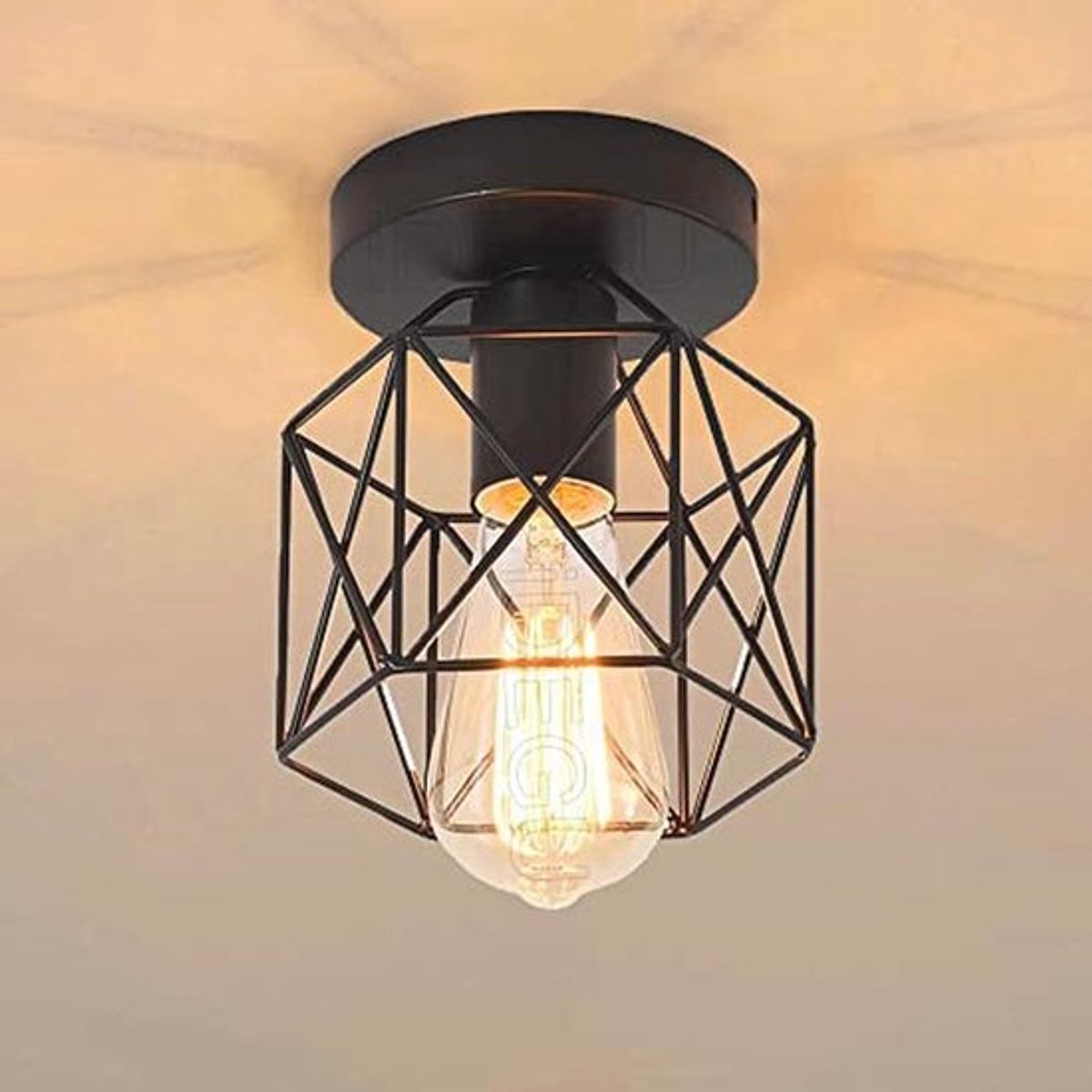 Industriële plafondlamp met kooi, vintage design, E27 fitting, voor verschillende ruimtes