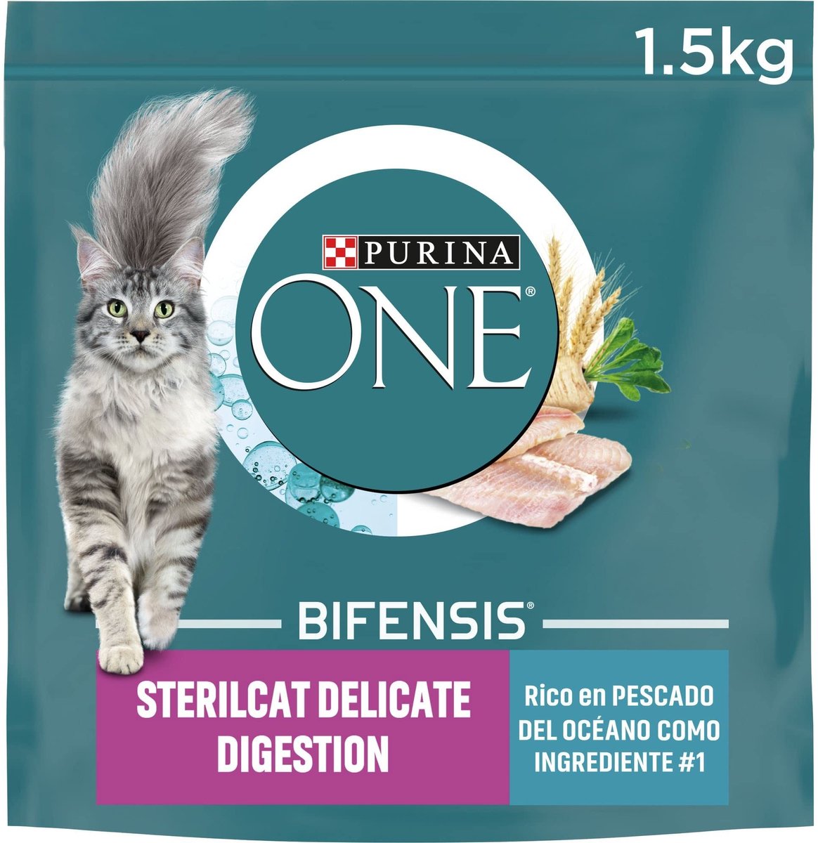 Solidchoice - Droog Kattenvoer voor Geholpen Katten met Zeevis