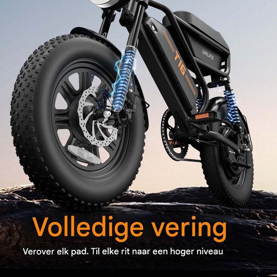 Elektrische Fatbike 16 x 3.0 Inch - 48V 15.6Ah - Tot 110 km Bereik - 250W Motor -Zilver — afbeelding 4