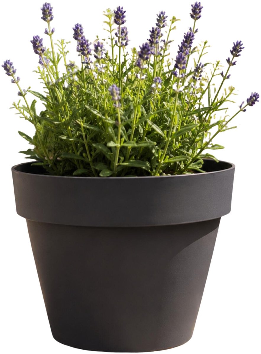 EDA Romeo Bloempot / plantenpot - kunststof - antraciet - D17 x H13 cm - binnen en buiten