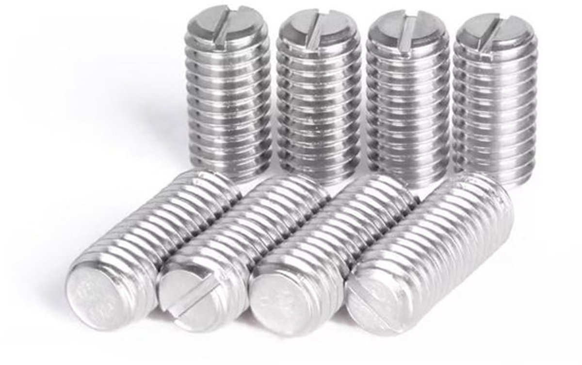 Stelschroeven M6 x 6 mm - Roestvrij Staal - Draadpennen - Machineschroeven - Sleuf - 10 Stuks - Draadpen