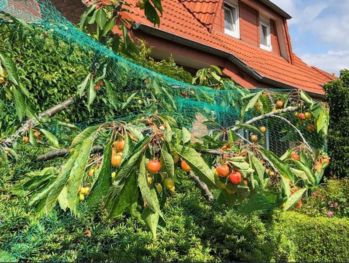 Vogelbeschermingsnet 10 x 4 m - Duurzaam - Lichtgewicht - Bescherming voor groenten en fruit - Hagelnet - Fijnmazige structuur - Plantennet
