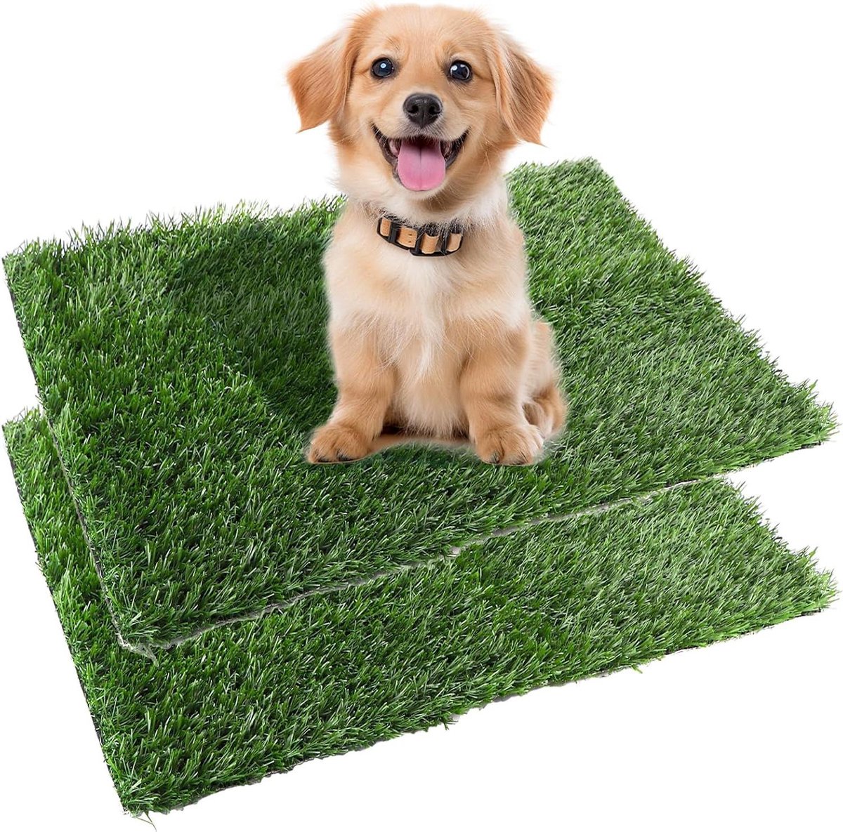 Kunstgras Hondentoilet - Puppytoilet Trainingsmat - Zindelijkheidstraining Thuis - Snelle Afwatering - 63 x 51 cm - Groen