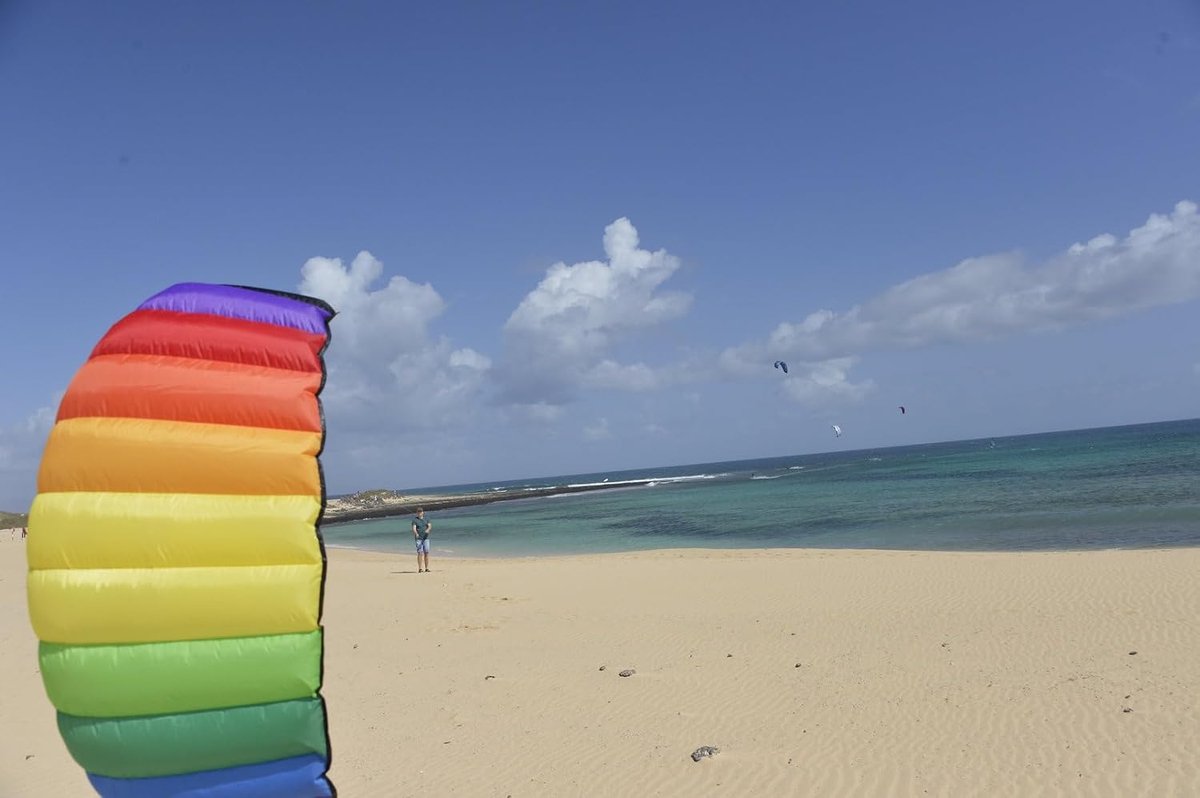 Vlieger 1.75 Meter - Rainbow - Twee lijnen - Ideaal voor het hele gezin - SnelShoppen
