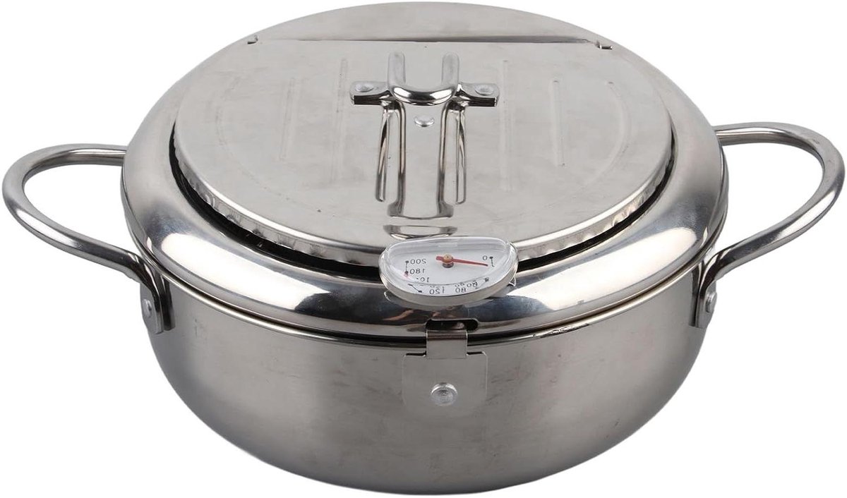 Friteuse Roestvrijstaal - Koekenpan met deksel - Lekker Frituren - Nauwkeurige Temperatuur - 20 cm - Zilver