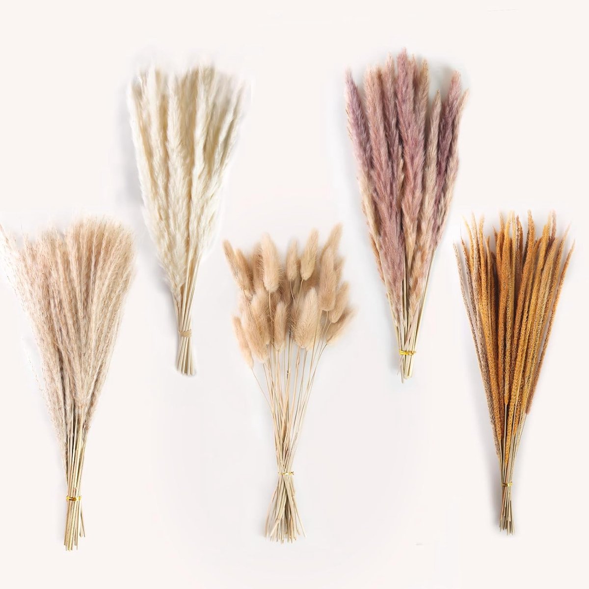 Luxury Set of 130 Pieces Dried Pampas Grass - Boho Decoratie voor Thuis en Bruiloft