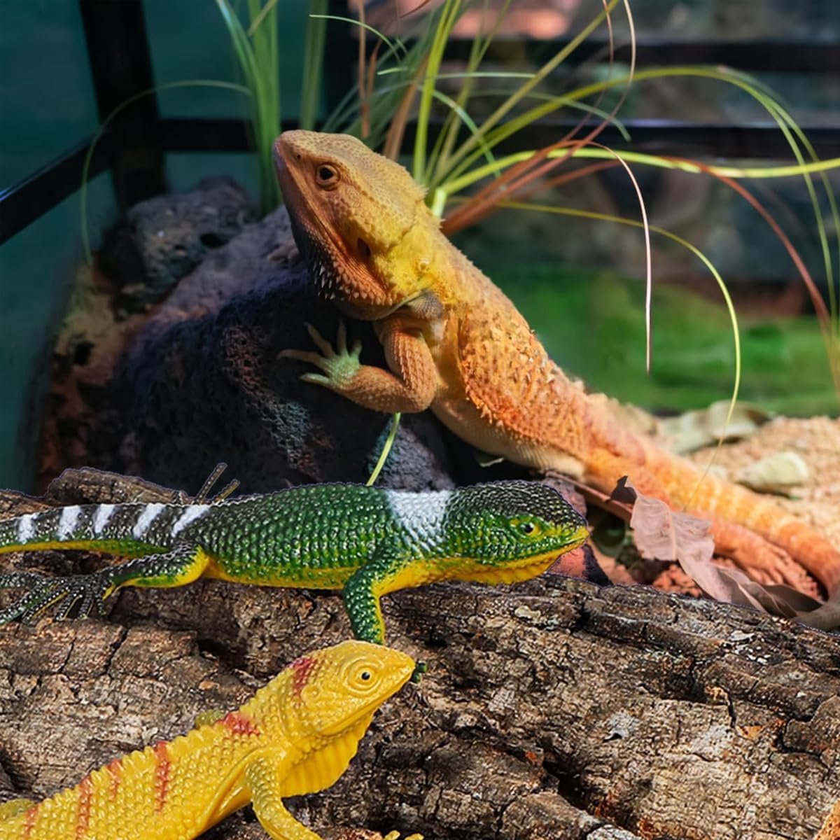 4 stuks reptielen kurk schors reptielen behuizing achtergrond kurk terrarium achtergrond slang terrarium bord tank decoratie voor gekko hagedis kikker baardagame