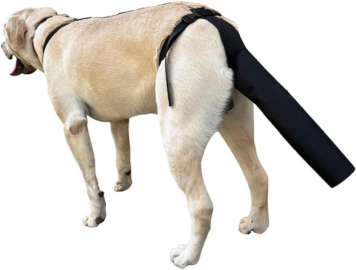 Staartbeschermer voor honden voor verwondingen en behandeling van haaruitval Voorkomt likken en bijten in staartwond Maat M