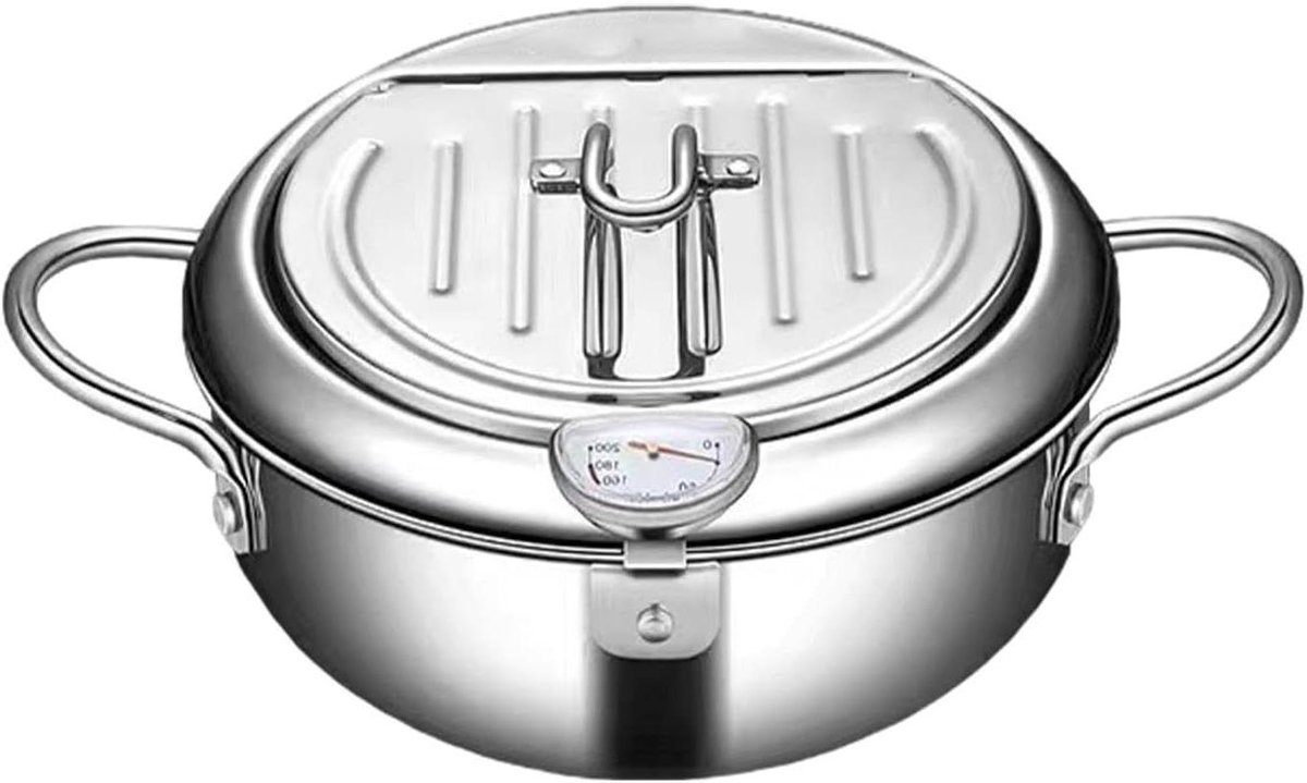 RVS Friteuse - Oliepan Diepe Pan - Thuis Frituren - Met Thermometer - 20 x 24 x 28 cm - Zilver