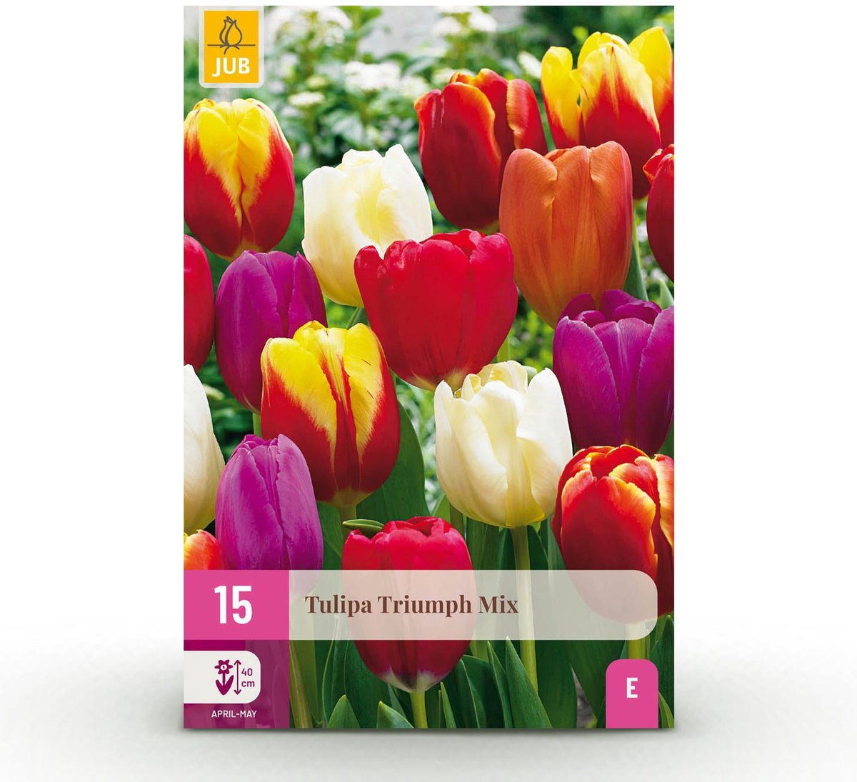 Bloembollen - Tulp Triumph mix - Diversen kleuren - 15 stuks - Bolmaat 11/12 - XXL Pack