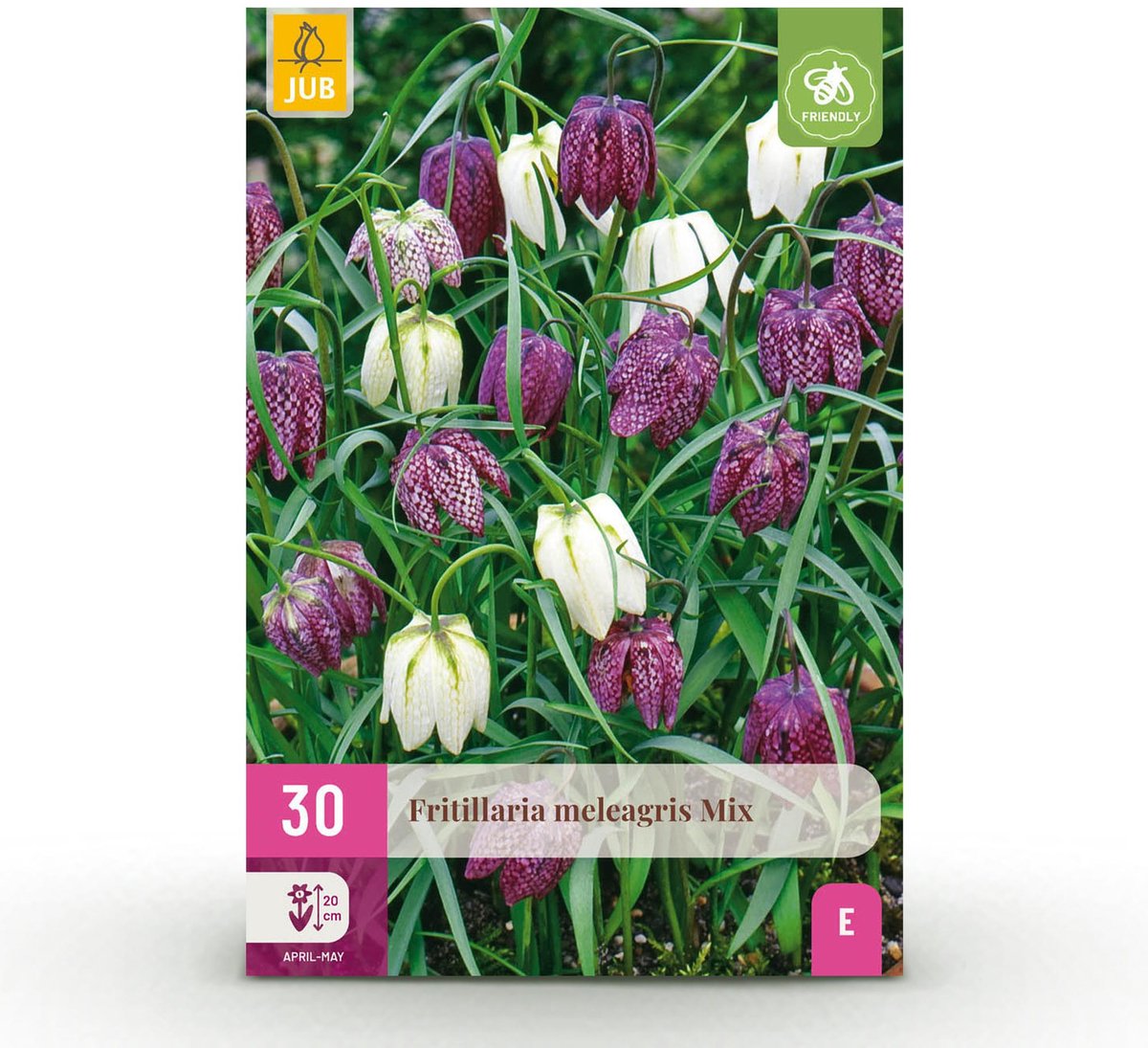 Bloembollen - Fritillaria Meleagris Mix - Kleur Paars en Wit - 30 stuks - Bolmaat 6/7 - XXL Pack
