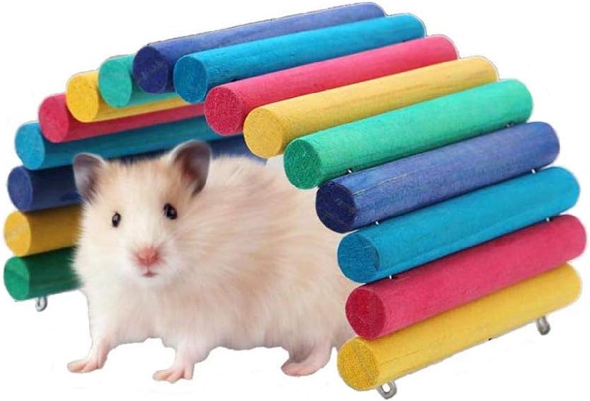 Hamster Houten Brug Regenboog Suspension Bend Ladder Kleine Dierbenodigdheden Kooi Habitat Decor Muis Rat Knaagdieren Speelgoed