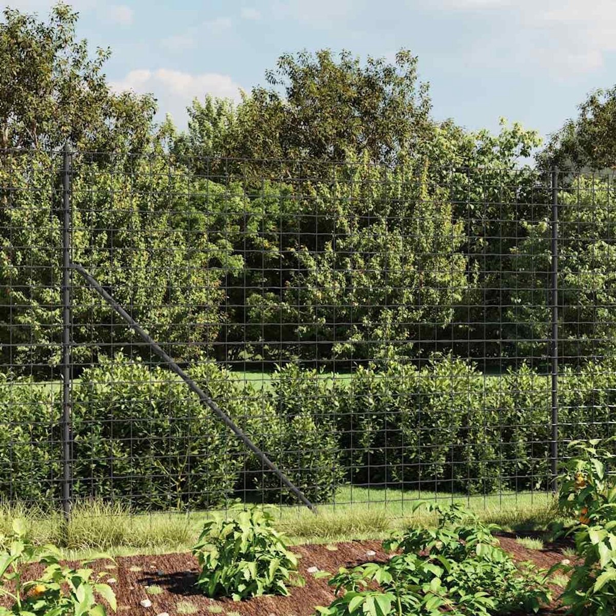 antraciet, 1,6 x 25 m, pvc-gecoat draadgaas van verzinkt staal, ideaal voor perceel en dierenren