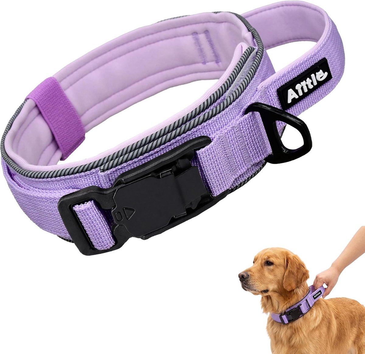 hondenhalsband XL - paars - magneetsluiting - comfortabel en duurzaam - SnelShoppen