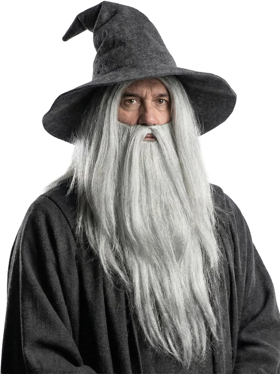 Grijze tovenaarspruik & baard