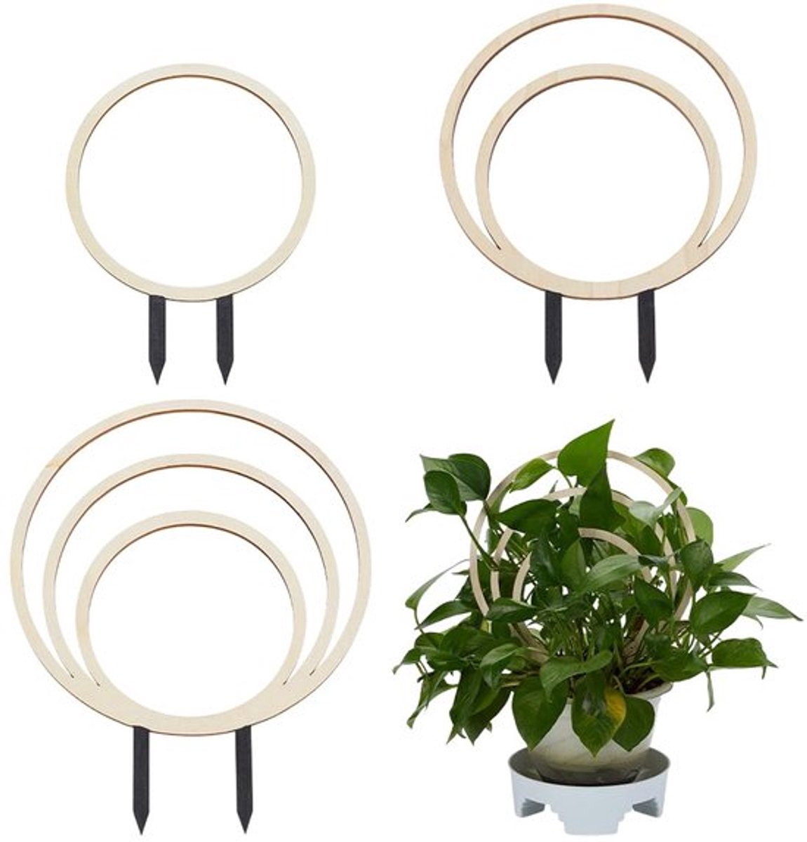 3 stuks cirkelvormige hekjes voor kamerplanten, 3 maten, wit bloemenhouten kamerplantrooster voor klimplanten, rond tuinhekje, plantenondersteuning voor klimop bloemen buiten potplanten