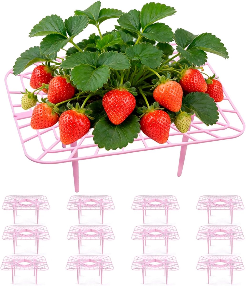 Aardbeiensteun vierkant met 4 stevige poten - Aardbeienstandaard - Groeiraam om fruit te verhogen - ShopVlot