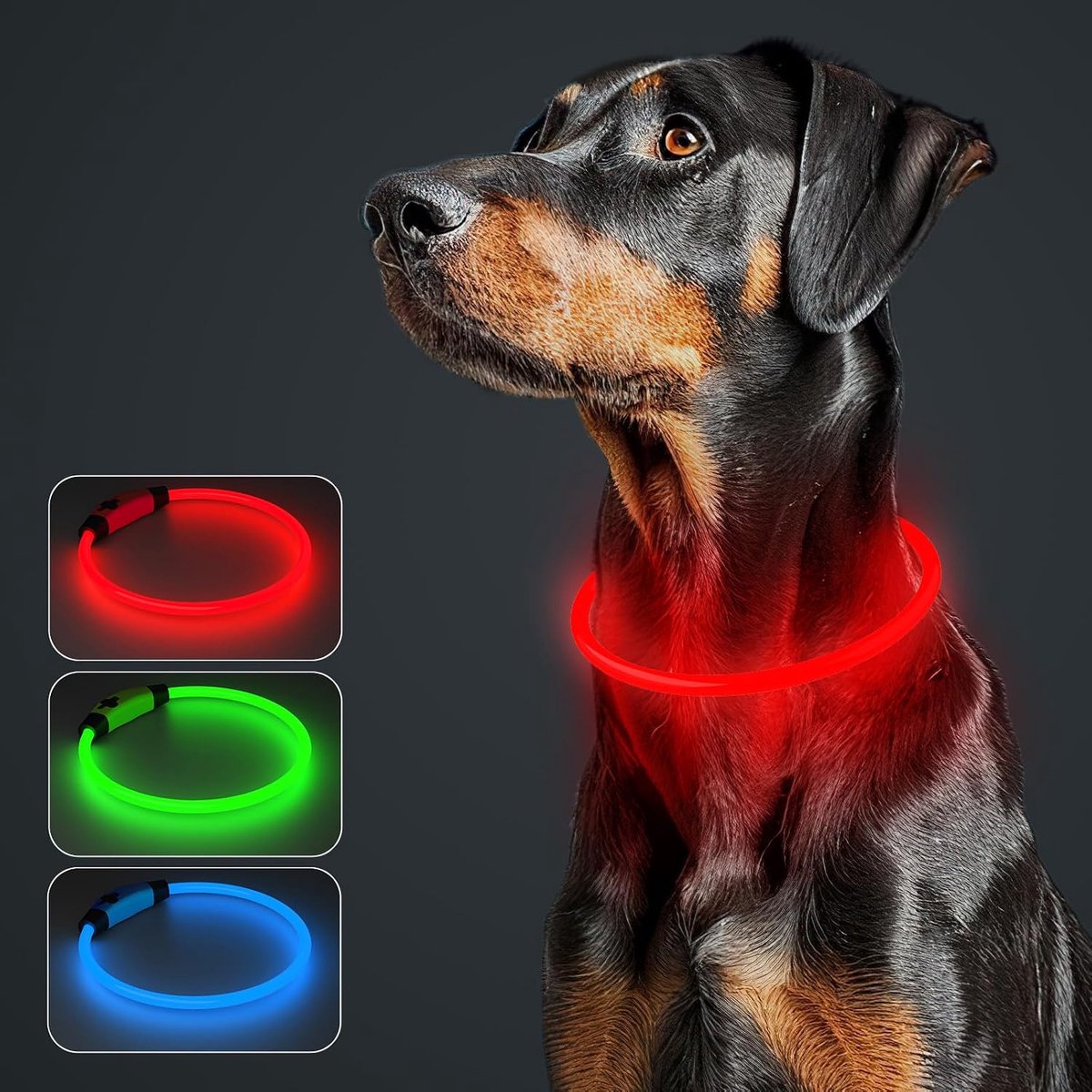 Hondenhalsband LED - Oplaadbaar - Waterdicht - Veiligheid tijdens nachtelijke wandelingen - ShopVlot