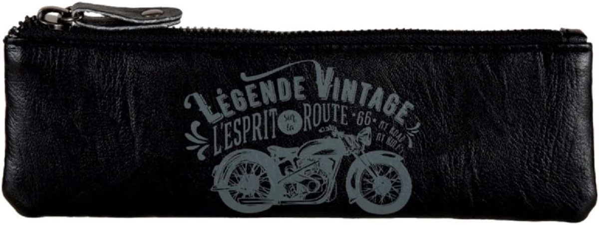 Dlp hoes voor alle Ray Legend - robuust - beschermend - ideaal voor onderweg - ShopVlot